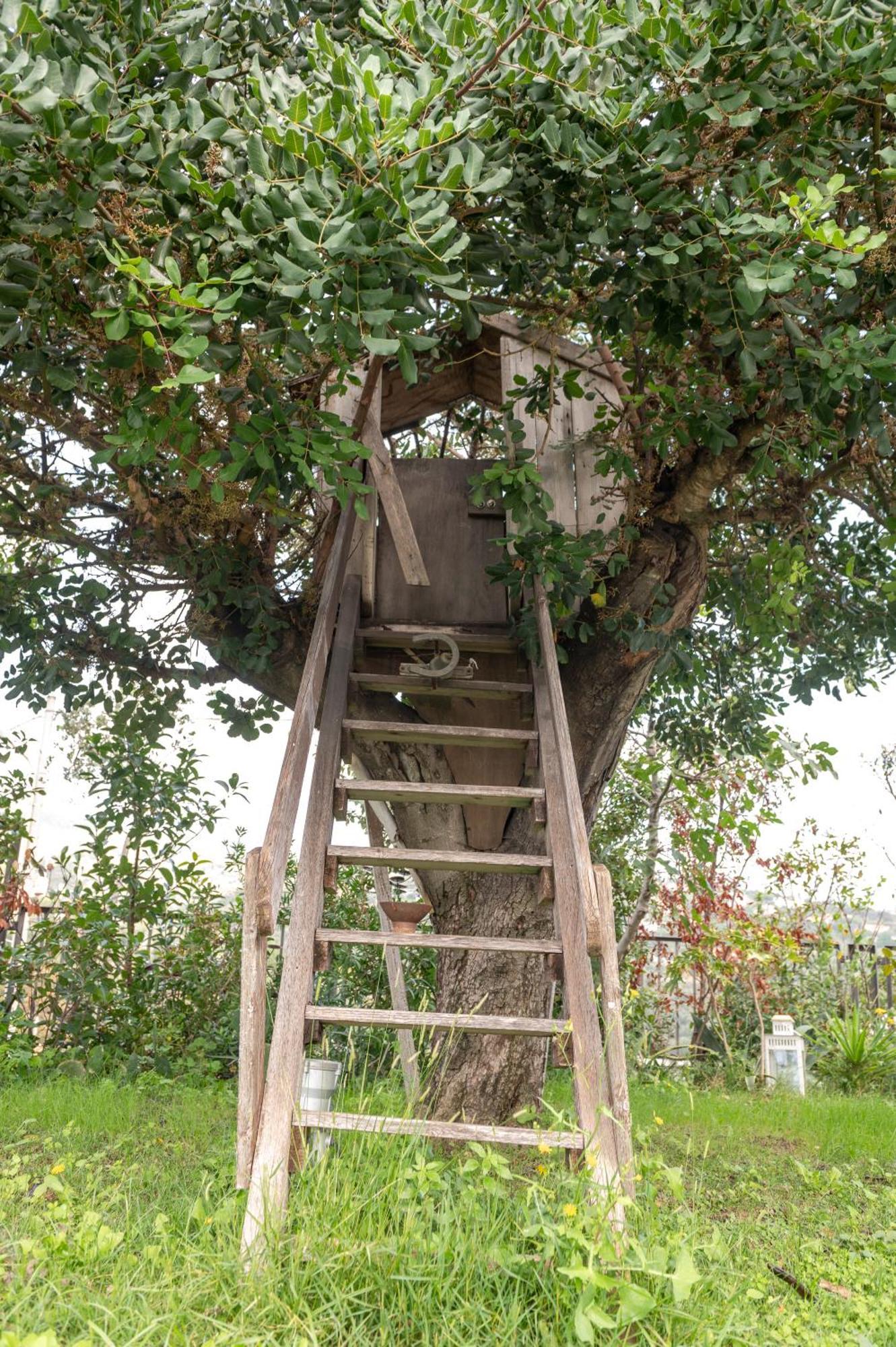 Villa Verney Albisola Superiore Luaran gambar